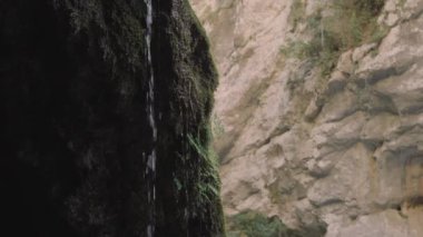 Clear water flows from giant rock overgrown with rare vegetation against rocky cliff. Scenic wild nature in countryside on sunny and shadow sides
