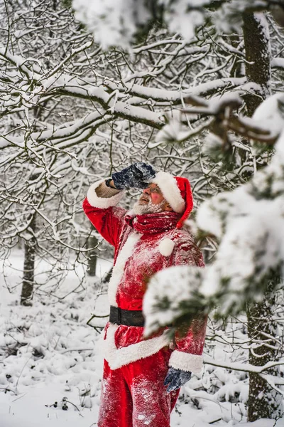 Felice Uomo Anziano Costume Tradizionale Rosso Babbo Natale Guardando Neve — Foto Stock