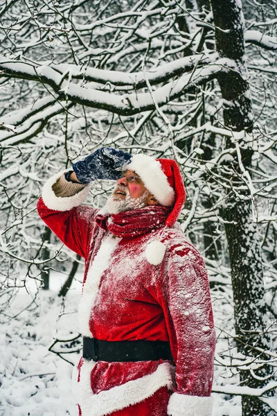 Felice Uomo Anziano Costume Tradizionale Rosso Babbo Natale Guardando Rami — Foto Stock