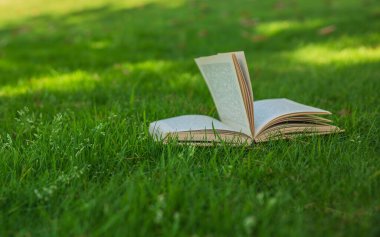 Yaz günü, açık bir kitap gölgedeki yeşil çimlerin üzerinde uzanıyor, seçici bir odak noktası..