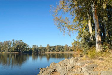 Kayalık göl kıyısında sonbahar ağaçları