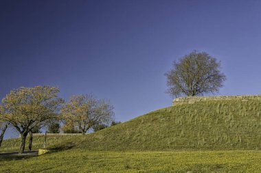 Dağlık bir bölgede sonbahar ağaçları