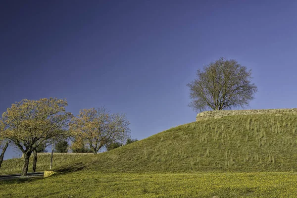 Dağlık bir bölgede sonbahar ağaçları