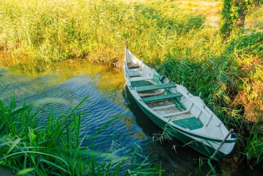Lonely boat in the reeds on the lake. Beautiful summer landscape in the evening, at sunset