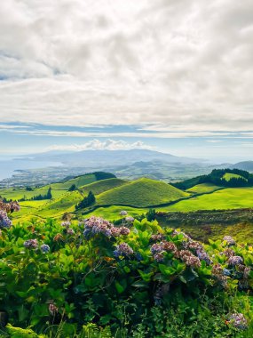 Otlaklarda, tepelerde ve Azores vadilerinde bir gün. Adalardaki hoş yaz manzaraları