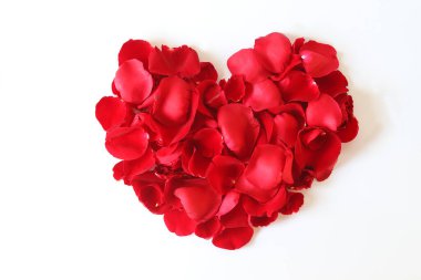 Beyaz arka plan üzerinde izole kırmızı gül yaprakları güzel kalp