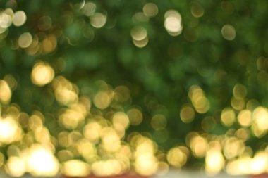 güzel doğa yeşil bokeh arka plan