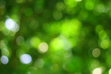 yeşil bokeh soyut ışık arkaplanı