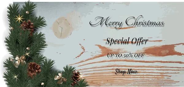 Köknar dalları ve çam kozalaklarıyla Noel arkaplanı