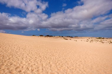 Kanarya Adası Fuerteventura 'daki Corralejo' nun kum tepelerine bakın..