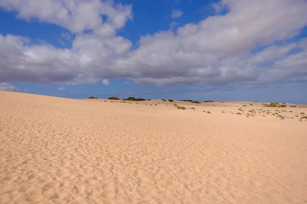 Widok Wydmy Corralejo Wyspie Kanaryjskiej Fuerteventura — Zdjęcie stockowe