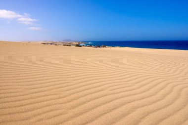 Fuerteventura Kanarya Adası 'ndaki kumul Corralejo manzarası.