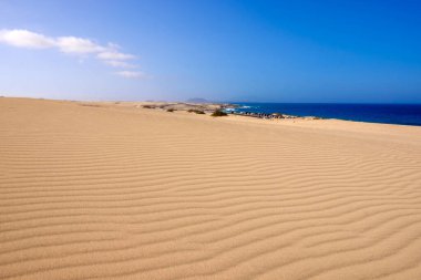 Fuerteventura Kanarya Adası 'ndaki kumul Corralejo manzarası.