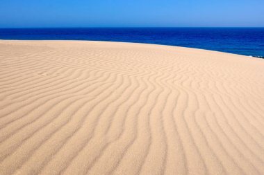 Fuerteventura Kanarya Adası 'ndaki kumul Corralejo manzarası.