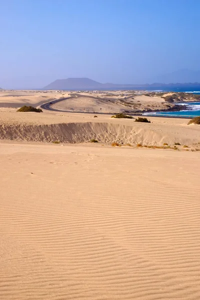 View Dune Corralejo Canary Island Fuerteventura — Stockfoto