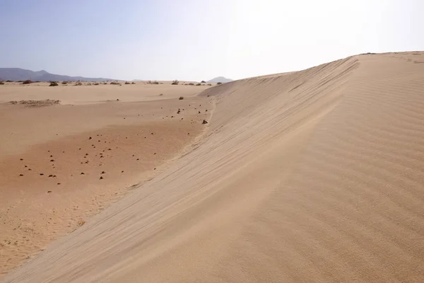 Utsikt Över Sanddynen Corralejo Kanarieöarna Fuerteventura — Stockfoto