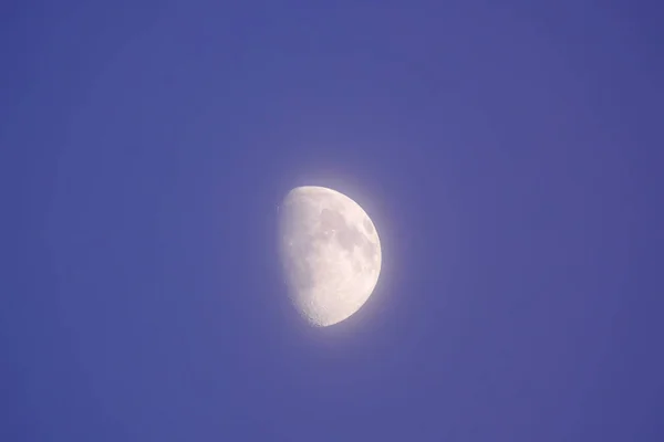 Disco Luna Nel Cielo Azzurro Sera Primo Piano — Foto Stock