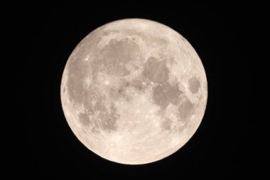 The Supermoon on the dark night sky, closeup.