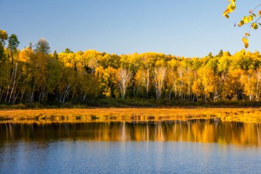 Ağaçlı ve havuzlu güzel sonbahar manzarası