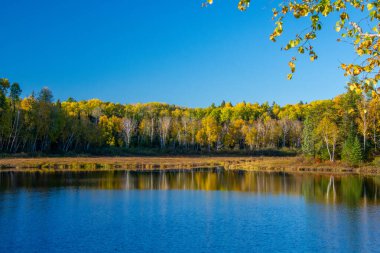 Ağaçlı ve havuzlu güzel sonbahar manzarası