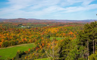 Sonbahar manzarası, renkli ağaçlar, mavi gökyüzü arkaplanı