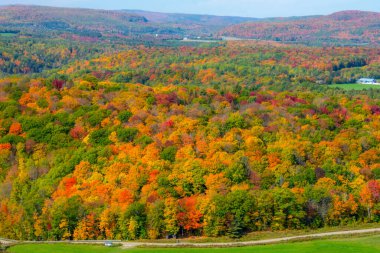 Sonbahar manzarası, renkli ağaçlar, dağ manzarası