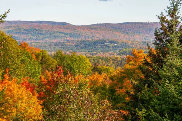 カラフルな木々 山の景色と秋の風景 — ストック写真
