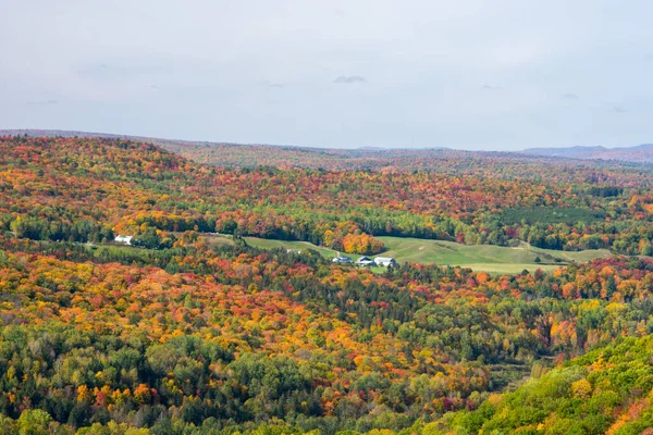 色とりどりの木々と青空を背景にした秋の風景 — ストック写真