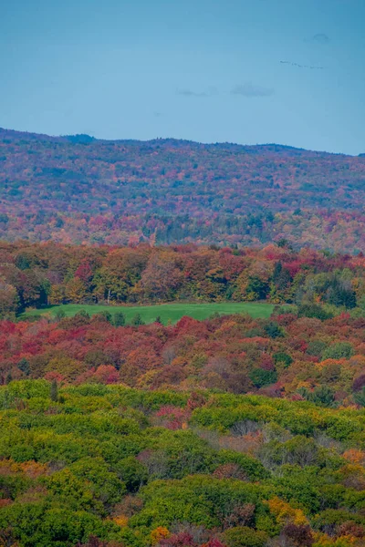 Осенний Пейзаж Красочными Деревьями Вид Горы — стоковое фото