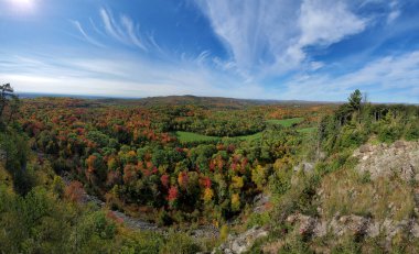 Sonbahar manzarası, renkli ağaçlar, mavi gökyüzü arkaplanı