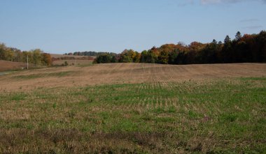 Renkli sonbahar ağaçlarıyla güzel manzaralı kırsal alan.
