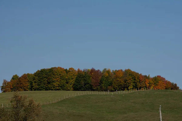 Vista Panorâmica Bela Paisagem Campo Com Árvores Coloridas Outono — Fotografia de Stock