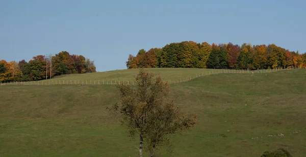 Malowniczy Widok Piękny Krajobraz Wsi Kolorowymi Jesiennymi Drzewami — Zdjęcie stockowe
