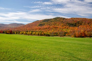 Renkli sonbahar ağaçlarıyla güzel manzaralı kırsal alan.