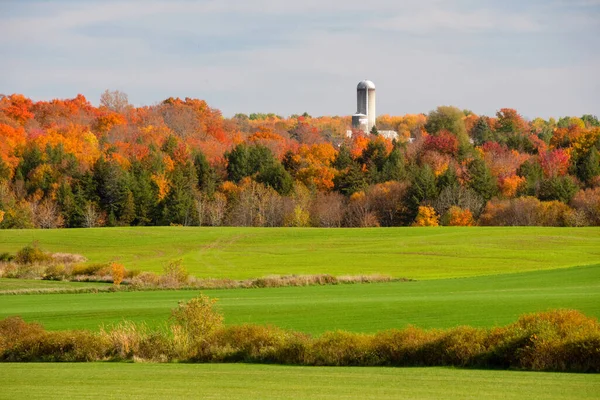 Vista Panorámica Del Hermoso Paisaje Campo Con Coloridos Árboles Otoño — Foto de Stock