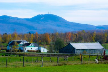 Sonbahar ormanı olan köy. Sonbahar sezonu