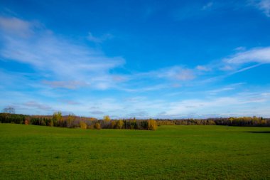sonbahar yatay, ormanın içinde renkli ağaçlar