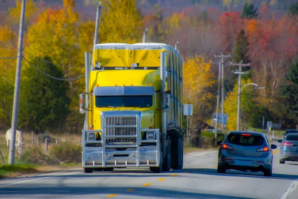 Lkw Fährt Auf Asphaltstraße — Stockfoto