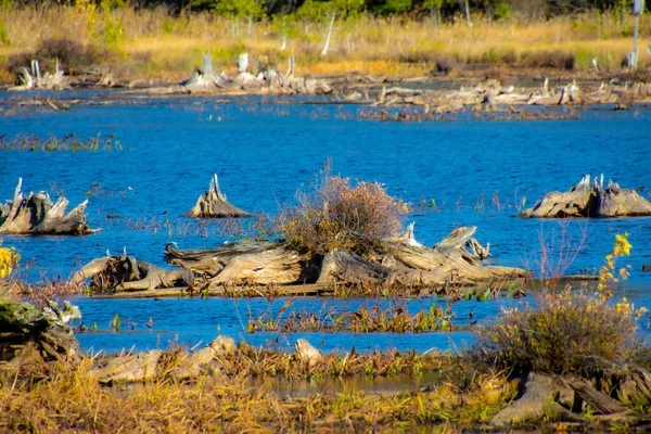 Lago Azul Temporada Outono Dia Ensolarado — Fotografia de Stock