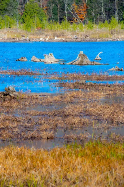 Lago Azul Temporada Otoño Día Soleado —  Fotos de Stock