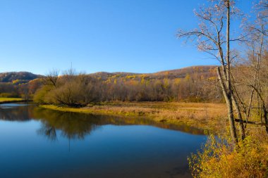 Güz parkında gölü olan güzel manzara.