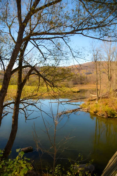 Bela Paisagem Parque Outono Com Lago — Fotografia de Stock