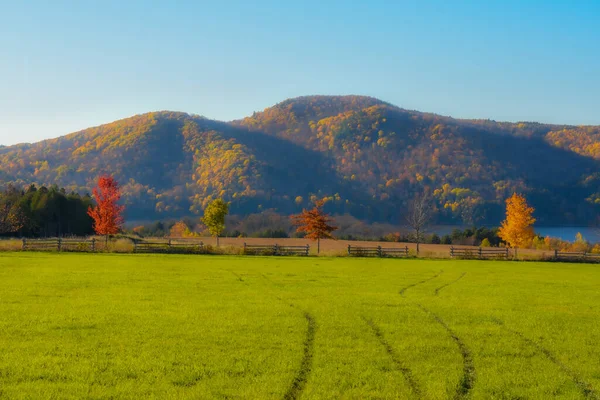 美しい秋の風景 自然絵 — ストック写真
