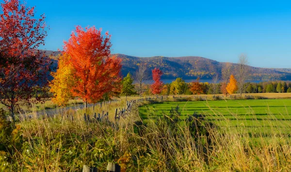 カラフルな紅葉の美しい風景 — ストック写真