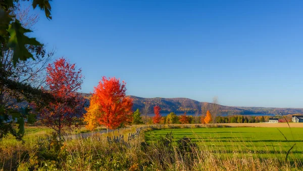 Pemandangan Indah Dengan Warna Warni Pohon Musim Gugur — Stok Foto