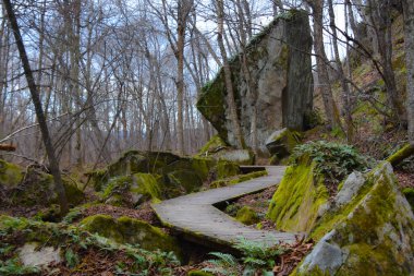 Güzel bir tahta yol manzarası, kayalar ve ormandaki çıplak ağaçlar.