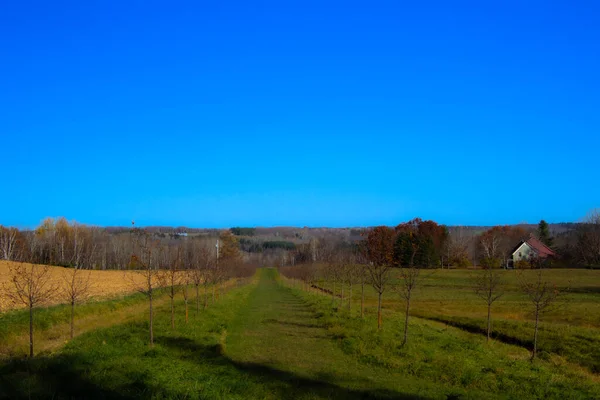 Φθινοπωρινό Τοπίο Αγροτικό Πεδίο Κάτω Από Γαλάζιο Ουρανό — Φωτογραφία Αρχείου