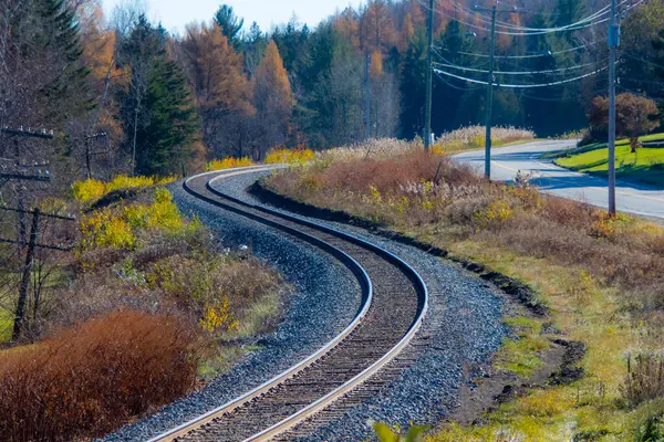 Ścieżka Kolejowa Jesiennym Lesie — Zdjęcie stockowe