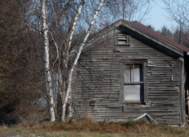 Kırsal ahır kış mevsiminde biyo-yayılıyor
