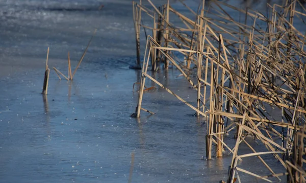 Красивое Озеро Зимний День — стоковое фото